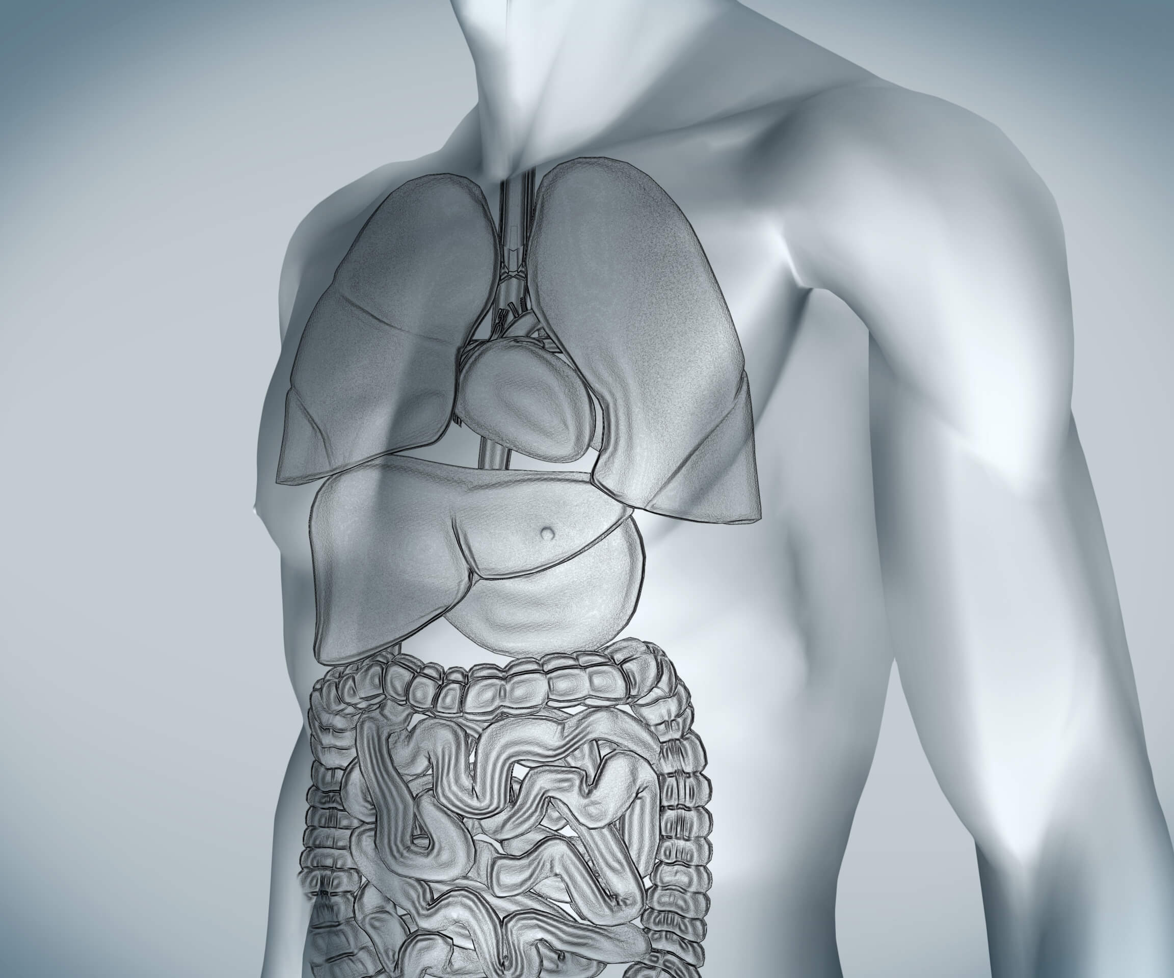 No momento, você está visualizando Cálculo na Vesícula: tudo que precisa saber para diagnosticar e tratar!