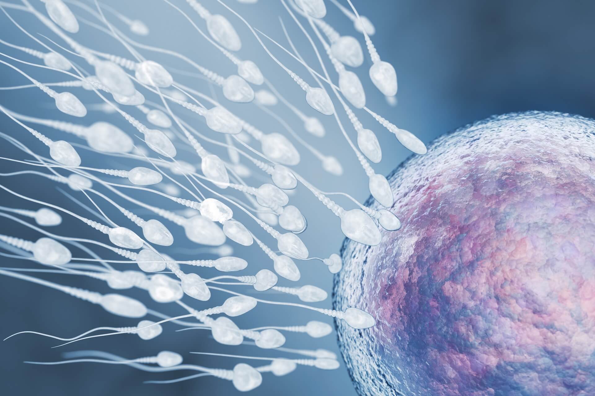 No momento, você está visualizando Como a Endometriose afeta a fertilidade feminina?